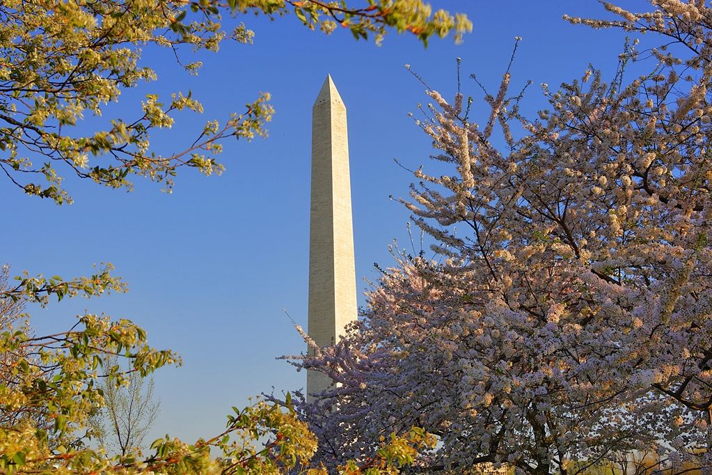 Hyatt Regency Crystal At Reagan National Airport 4* Arlington